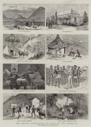 The Recent Discoveries of Gold in the Transvaal